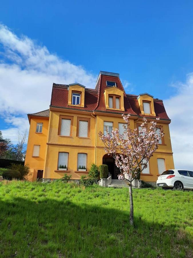Studio Soleil Au Hohwald Luaran gambar